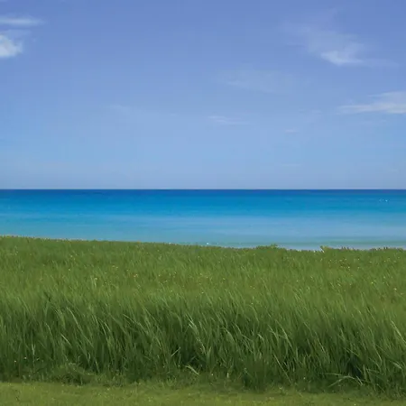 Lovely In With Wifi Romo