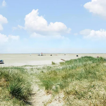 Lovely In With Wifi Romo