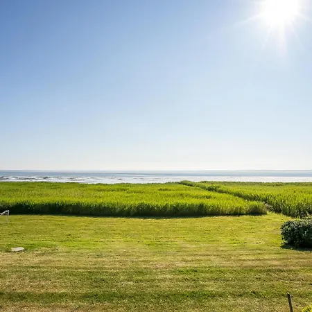 Lovely In With Wifi Romo